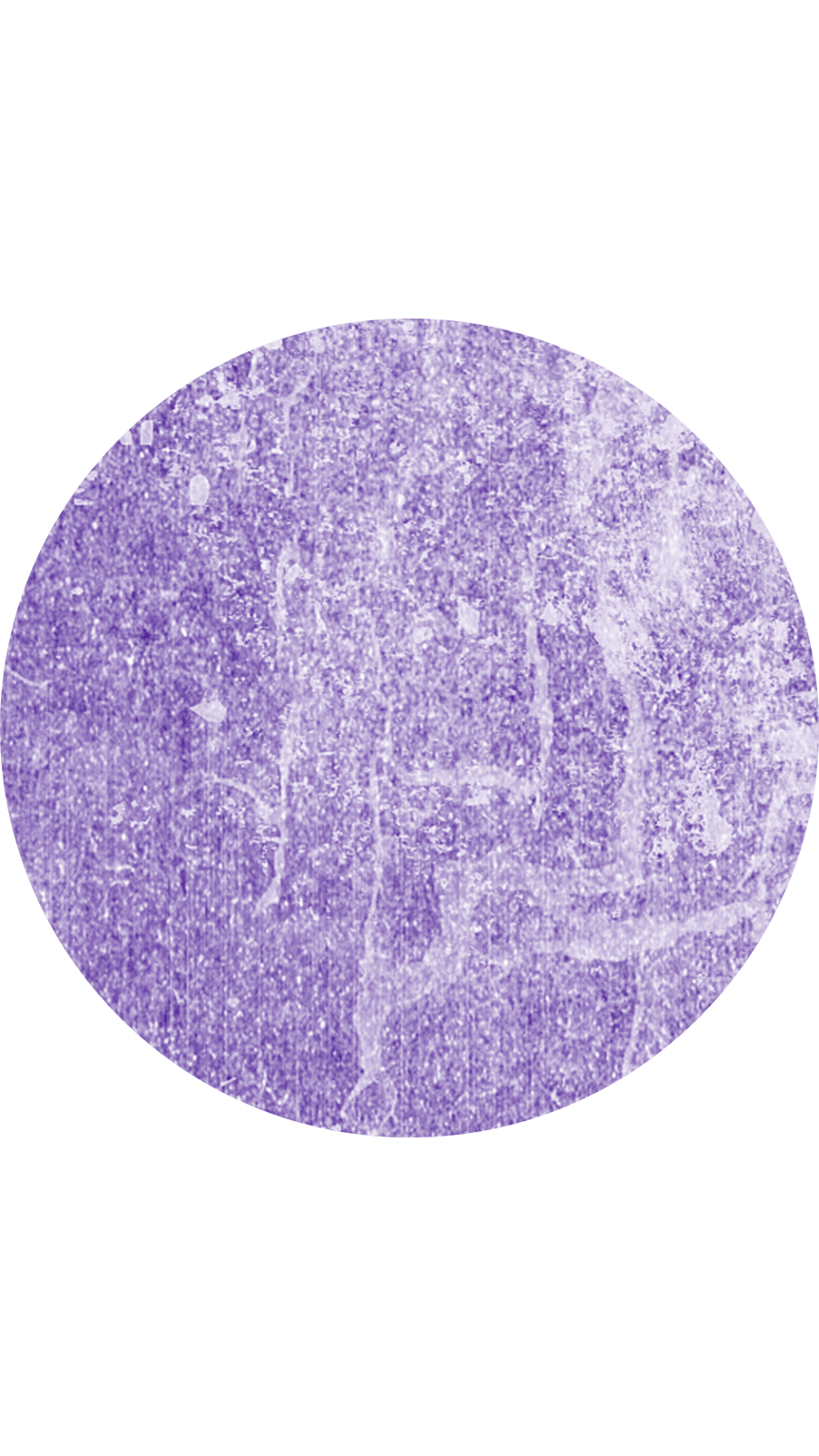 Simple Fashion Purple Color Circle Instagram Highlight