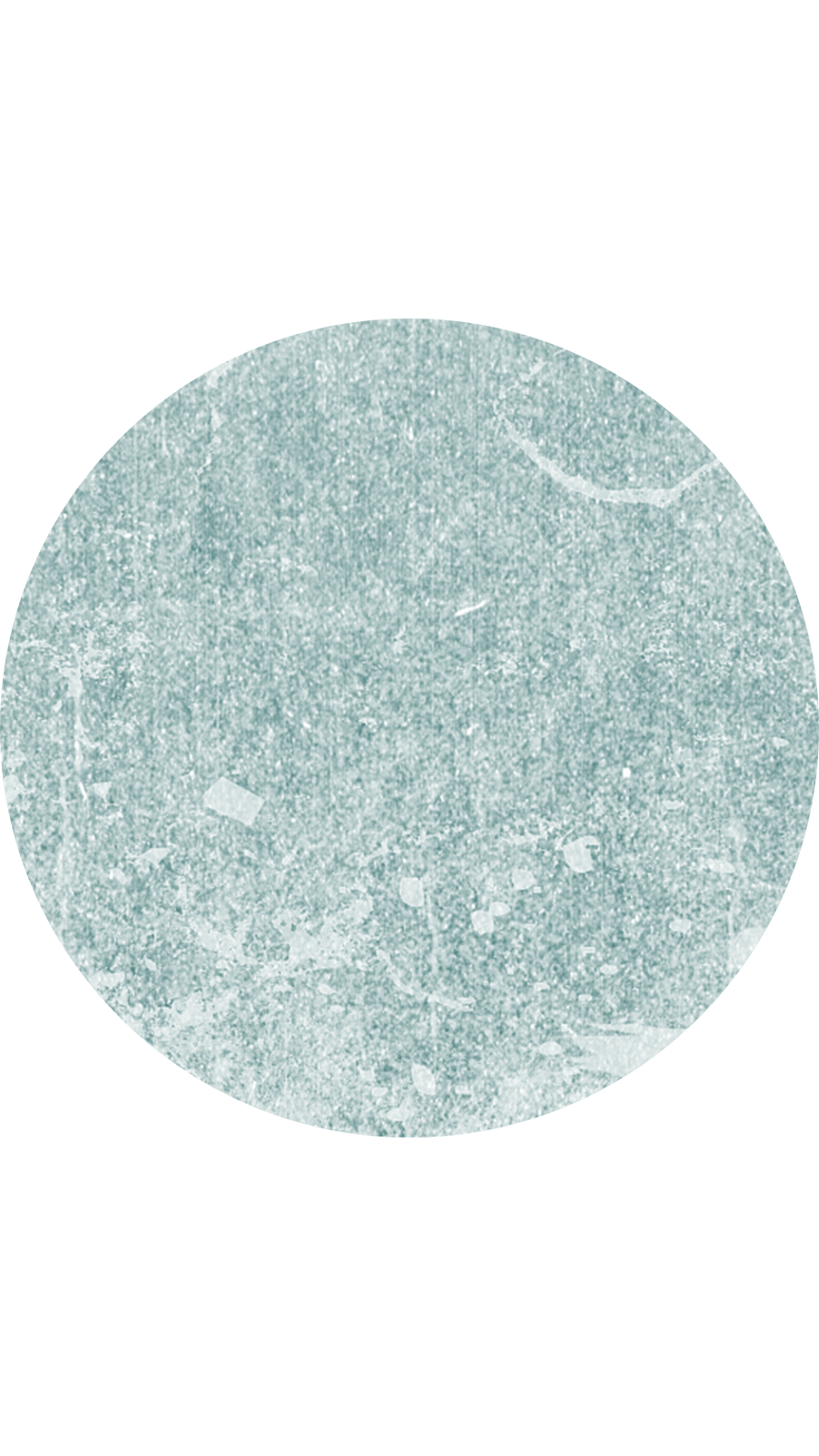 Simple Style White Background Cyan Hawthorn Texture Instagram Highlight