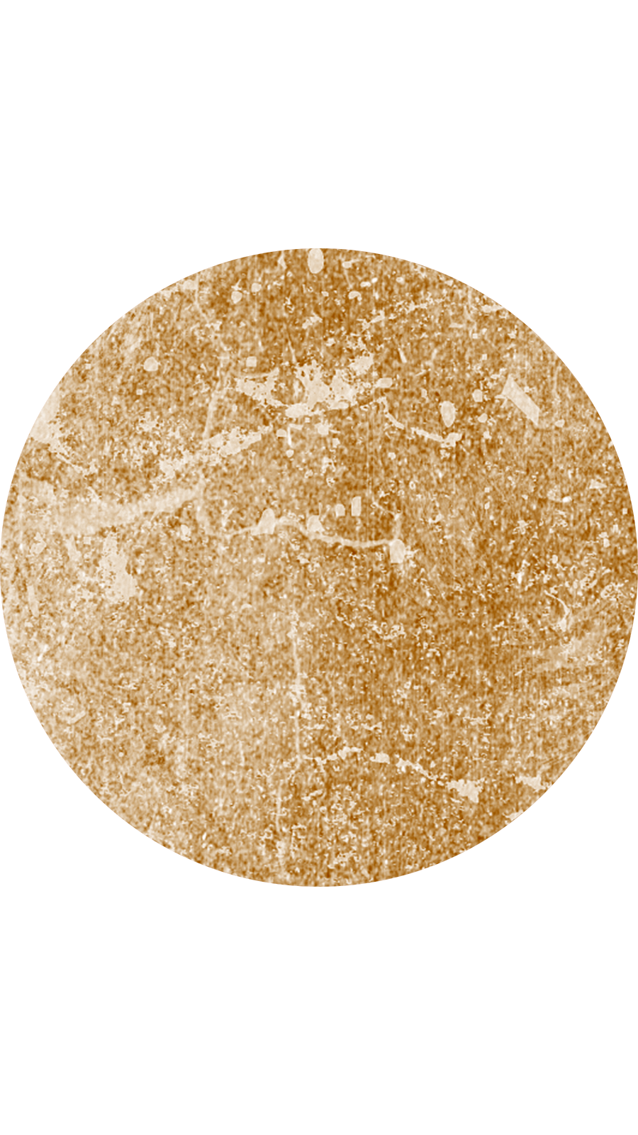 White Background Orange Hawthorn Shading Fashion Simple Style Instagram Highlight