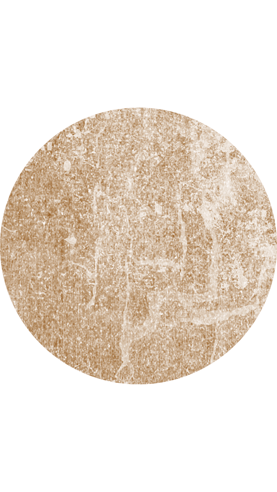 White Background Dark Brown Circle Element Simple Fashion Instagram HIghlight