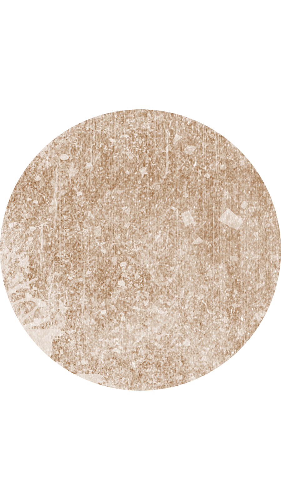 Brown Circle White Background SImple Style Instagram HIghlight