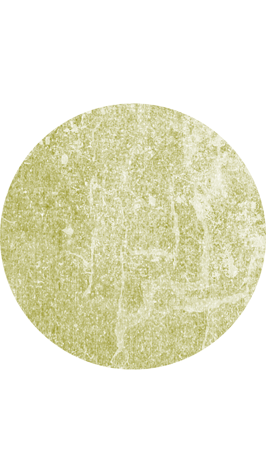 Simple Style White Background Drak Green Hawthorn Texture Instagram Highlight