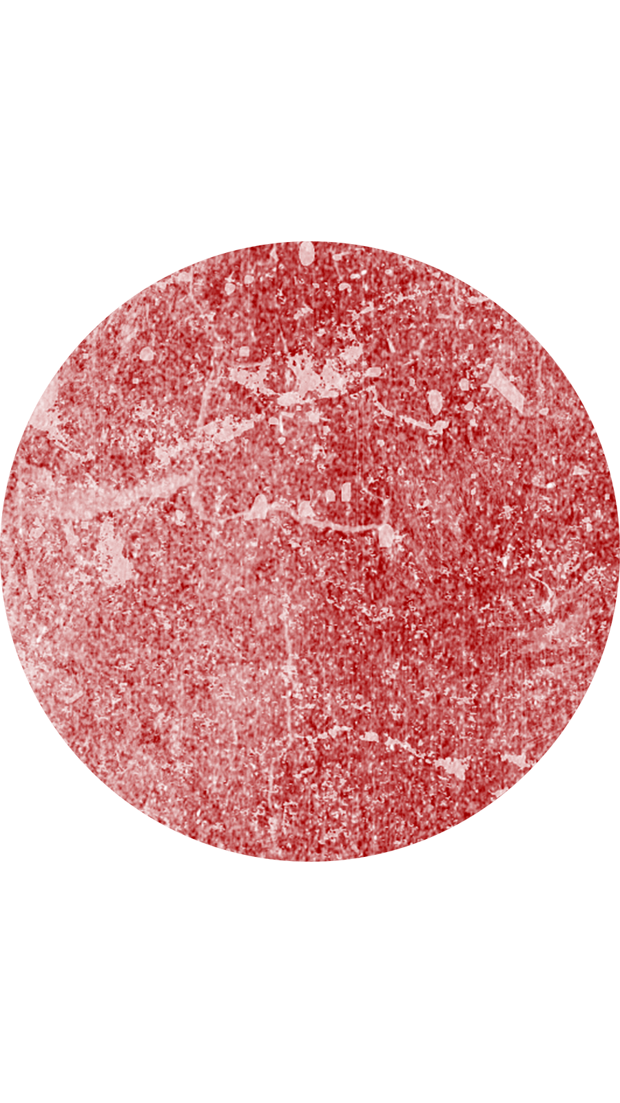Minimalist Style Light Red Circle Element Instagram Highlight