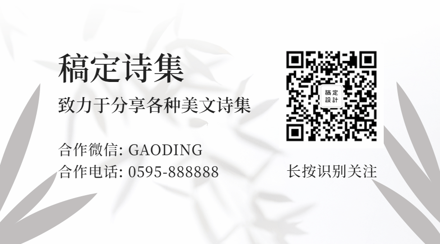 简约底纹植物扫码关注动态二维码预览效果