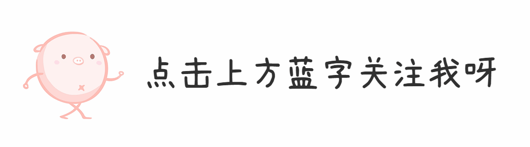 卡通可爱小猪动态引导关注预览效果