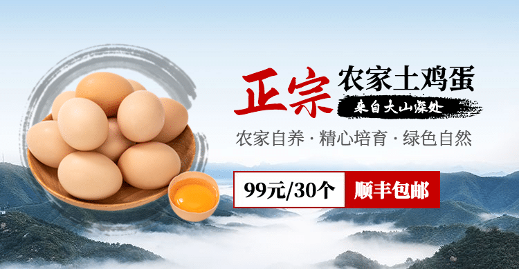 生鲜蛋类土特产鸡蛋禽类海报banner预览效果