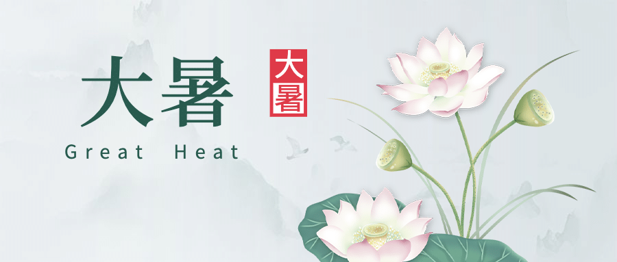 大暑节气荷花中国风清新公众号首图预览效果