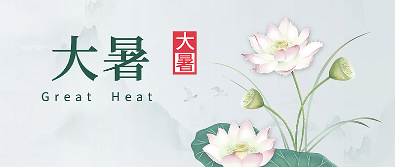 大暑节气荷花中国风清新公众号首图