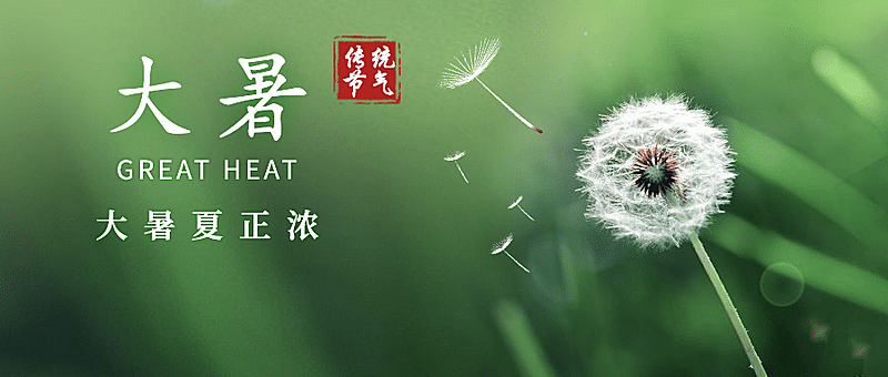 大暑节气蒲公英绿植夏日公众号首图