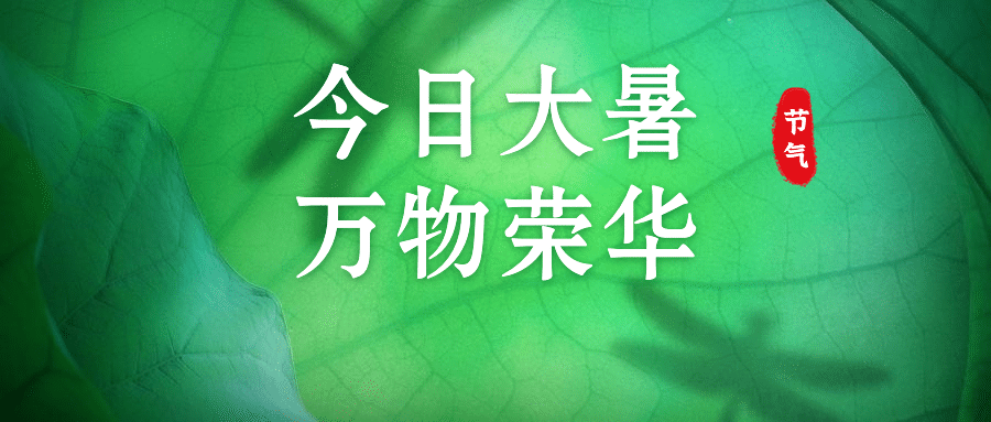 大暑节气实景植物公众号首图预览效果