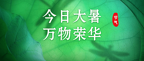 大暑节气实景植物公众号首图