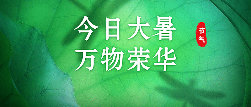 大暑节气实景植物公众号首图