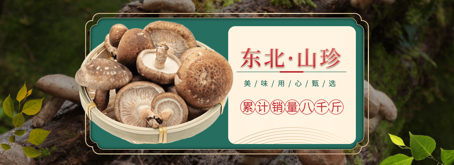 食品/菌菇介绍海报预览效果