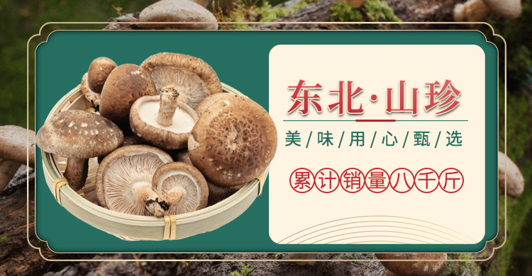 食品/菌菇介绍海报预览效果
