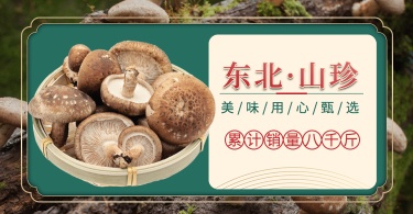食品/菌菇介绍海报