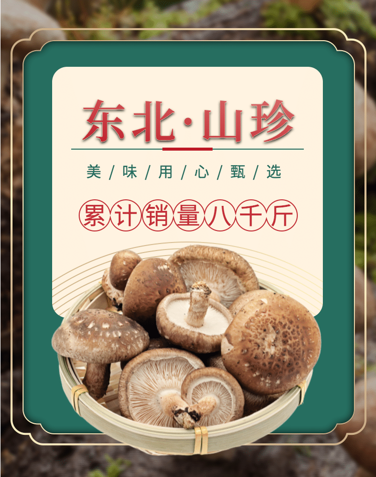 食品/菌菇介绍海报预览效果
