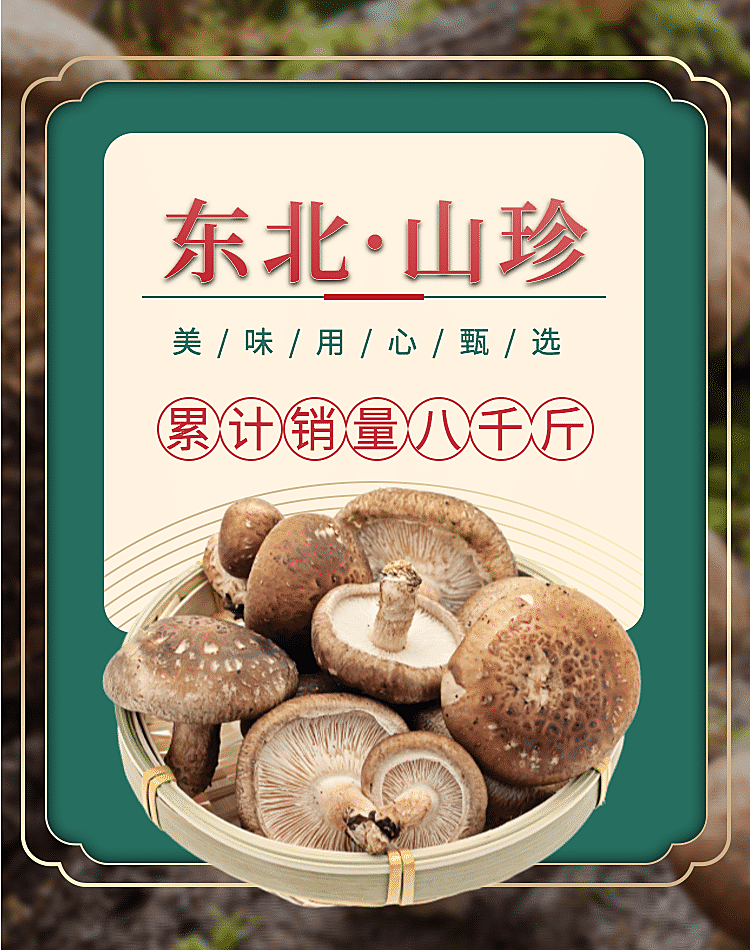 食品/菌菇介绍海报