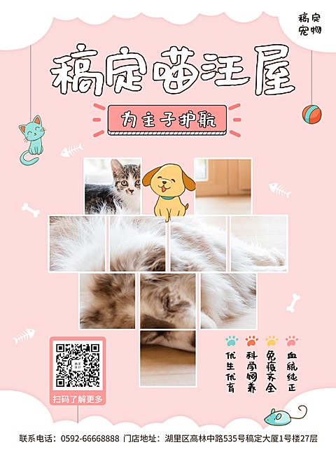 宠物可爱项目介绍张贴海报