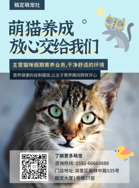 宠物/实景卡通/项目介绍/张贴海报预览效果