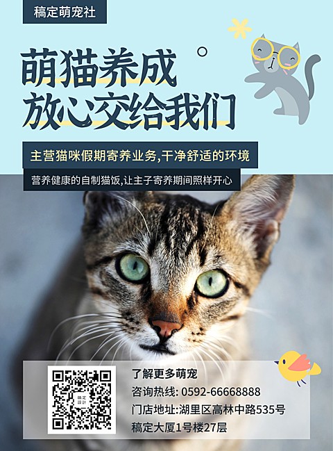宠物/实景卡通/项目介绍/张贴海报