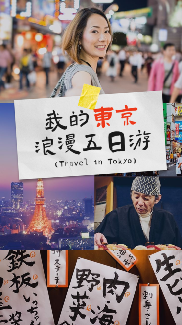旅行旅游娱乐vlog杂志竖版视频封面预览效果