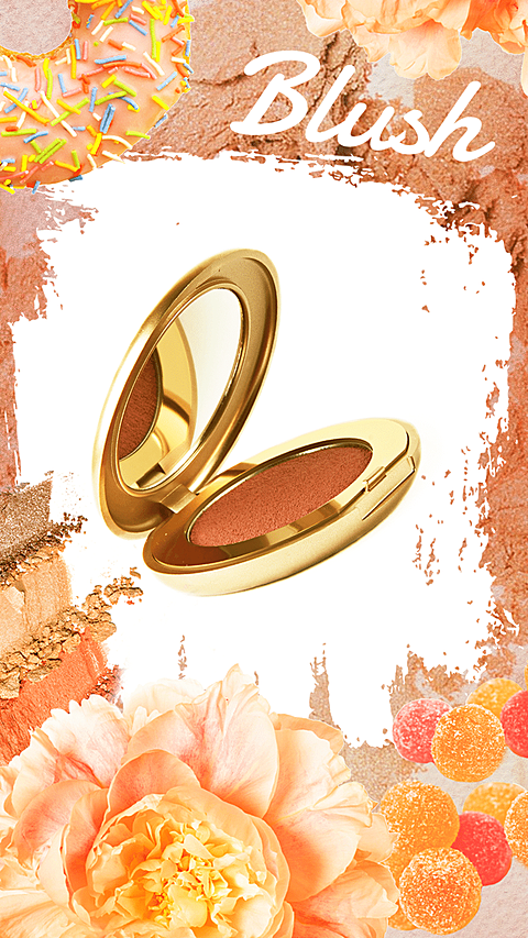 Creative Style Blush Display Promotion Ecommerce Story