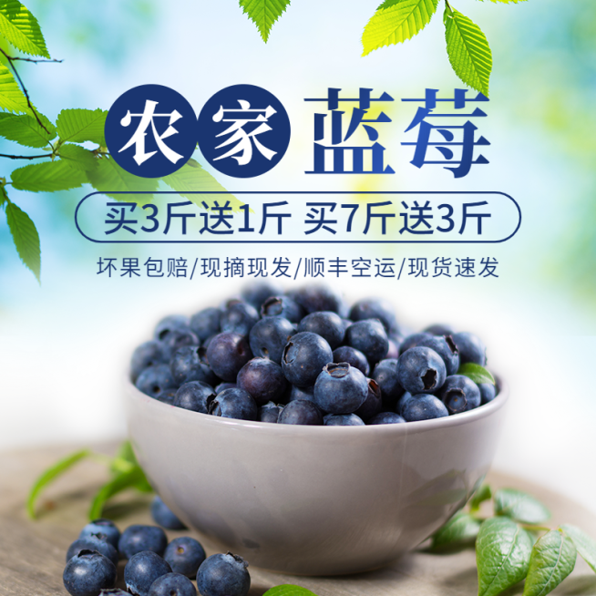 食品生鲜水果蓝莓直通车主图预览效果