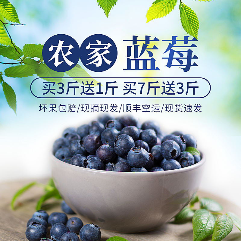 食品生鲜水果蓝莓直通车主图