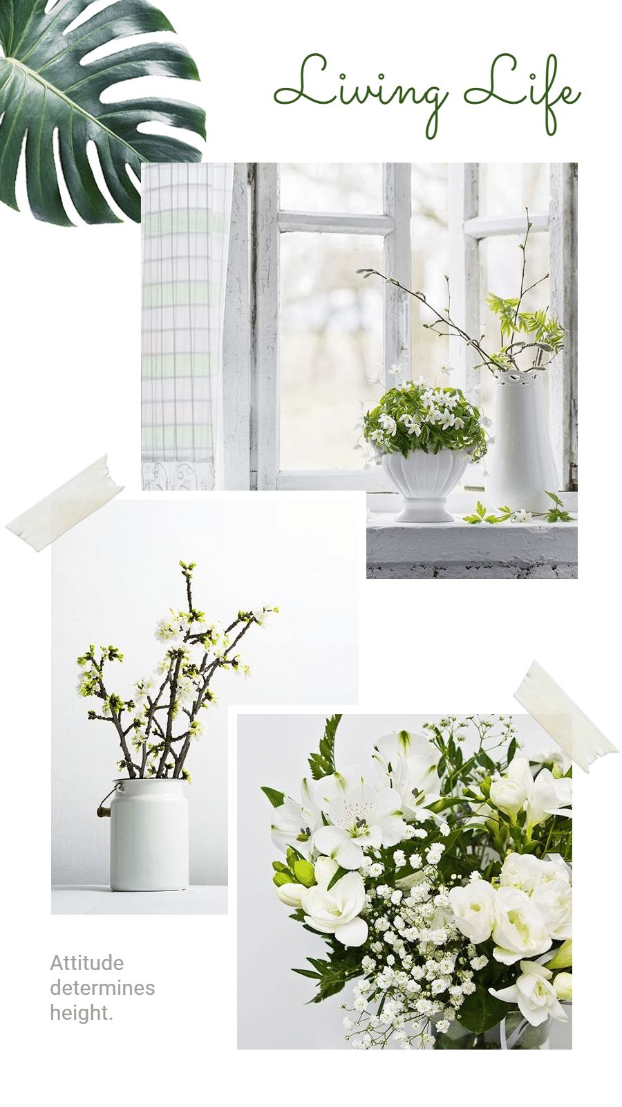 Literary Style Home Decor Potted Plant Display Ecommerce Story预览效果