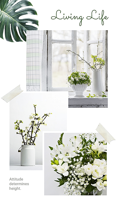 Literary Style Home Decor Potted Plant Display Ecommerce Story