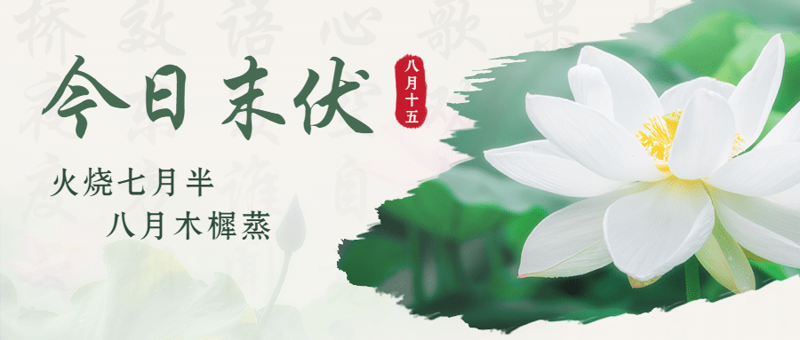 末伏三伏初伏入伏中伏公众号首图预览效果