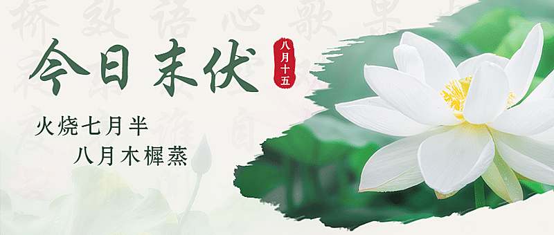 末伏三伏初伏入伏中伏公众号首图