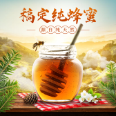 模板缩略图