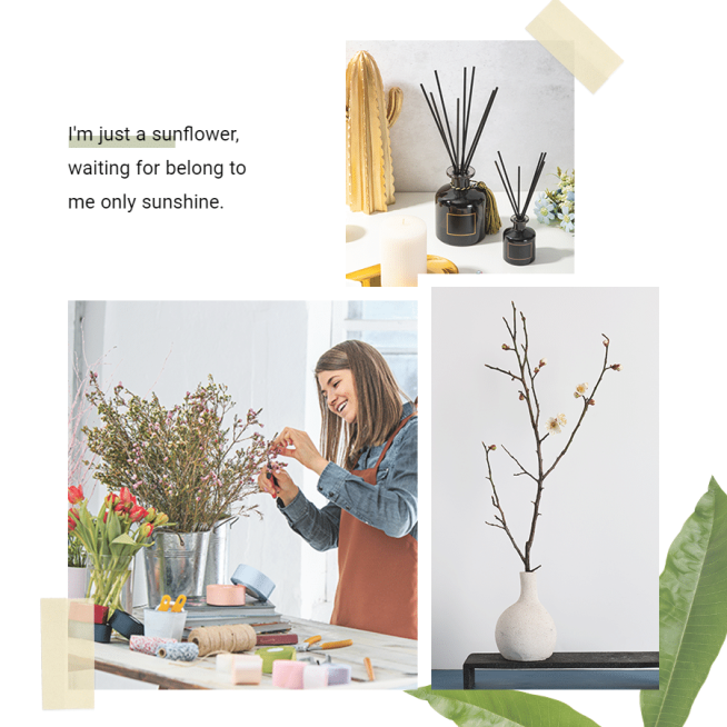 Text Quote Literary Home Decor Plant Display Ecommerce Product Image预览效果
