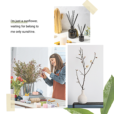 Text Quote Literary Home Decor Plant Display Ecommerce Product Image