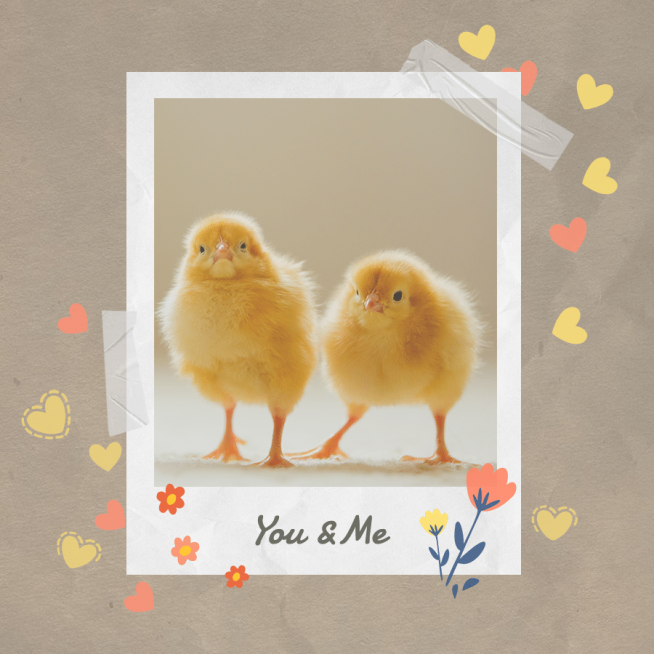 Pure Color Background Love Shape Decoration Pets Photo Art Fashion Simple Style Instagram Highlight预览效果
