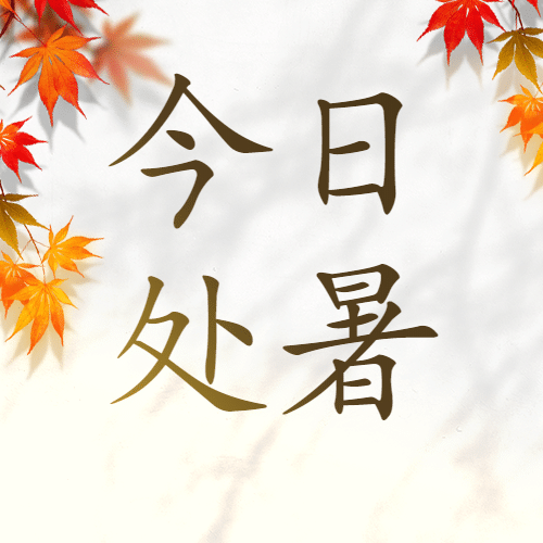 处暑节气秋天夏天早安清新公众号次图预览效果