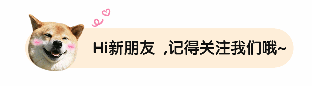 萌宠宠物柴犬可爱动态引导关注预览效果