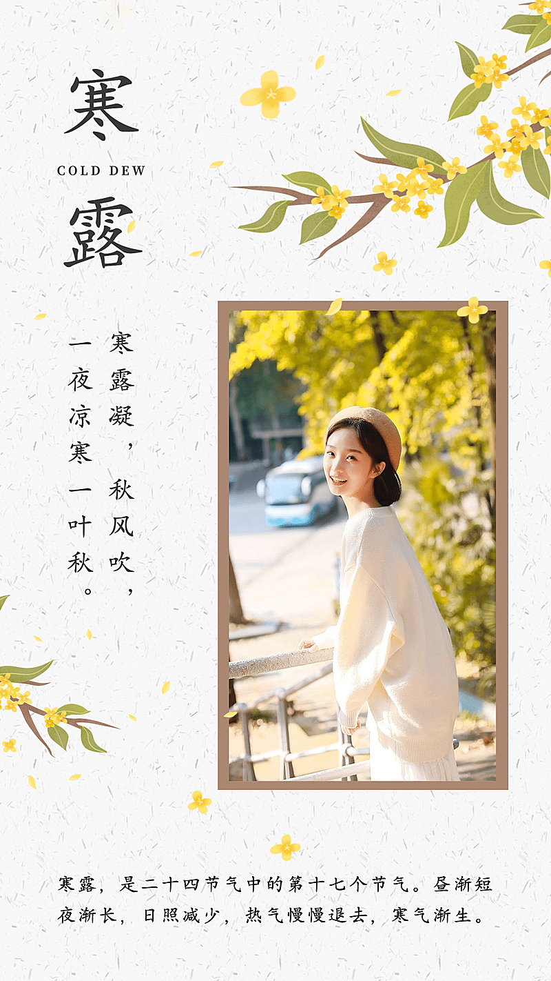 寒露节气百科晒照实景清新文艺