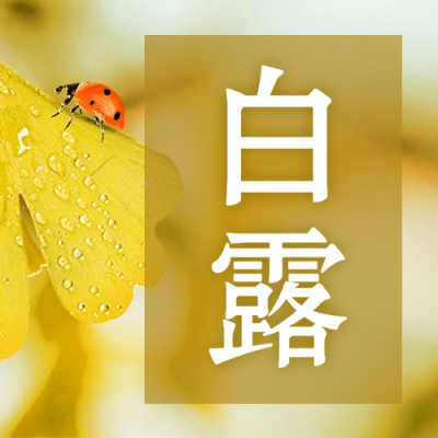 白露节气早安问候祝福公众号次图