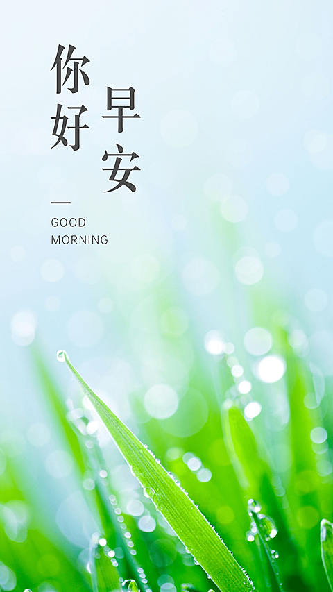 你好早安手机海报