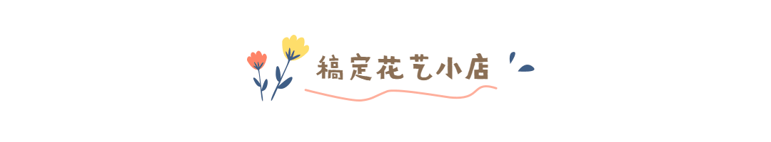 花艺花朵小清新动态分割线预览效果
