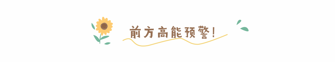向日葵小清新动态分割线预览效果