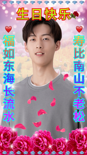 玫瑰钻石土味安利海报明星预览效果