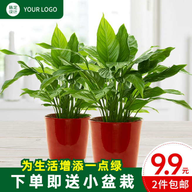 盆栽绿植直通车主图预览效果