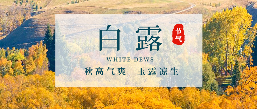 白露节气秋天早安问候公众号首图