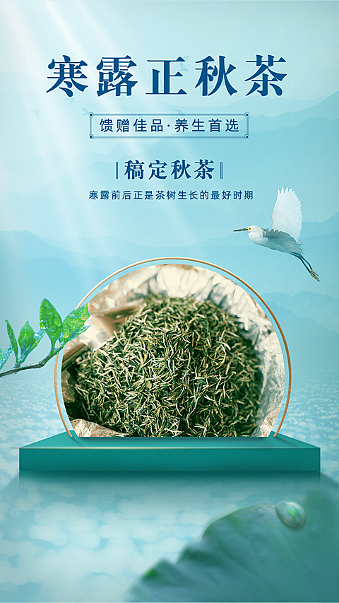 寒露正秋茶产品展示