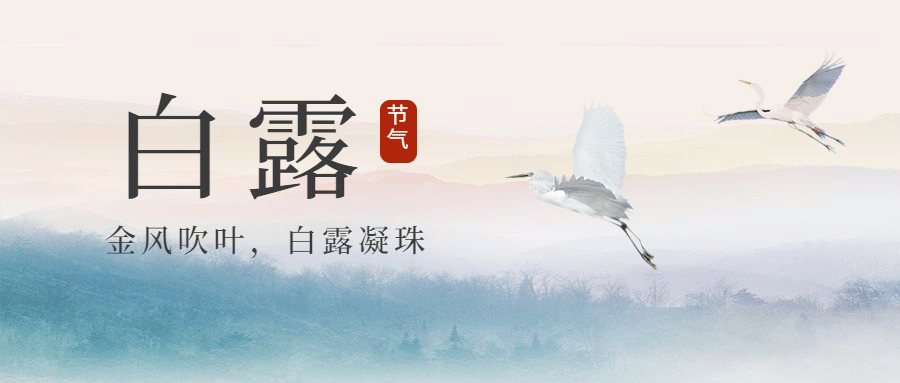 白露节气白鹭早安你好公众号首图预览效果