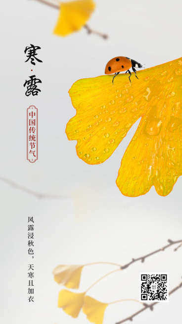 寒露祝福实景全屏转发预览效果