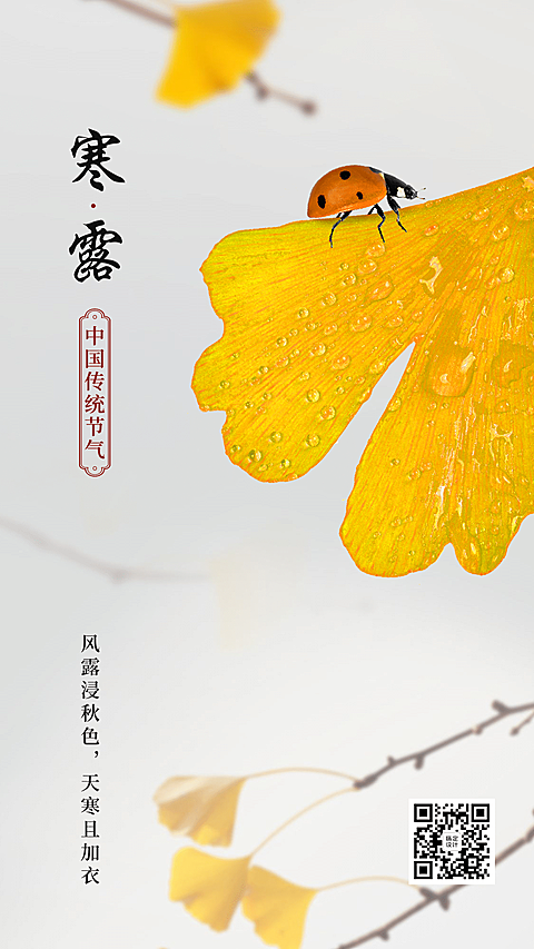 寒露祝福实景全屏转发